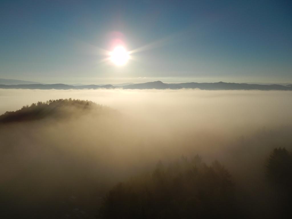 Shin Furano Prince Hotel Kültér fotó Fog over the Black Forest